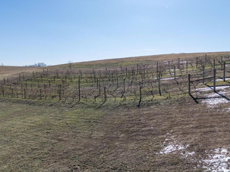 0 Four Mile Road, Jackson, OH 45640 Photo 8