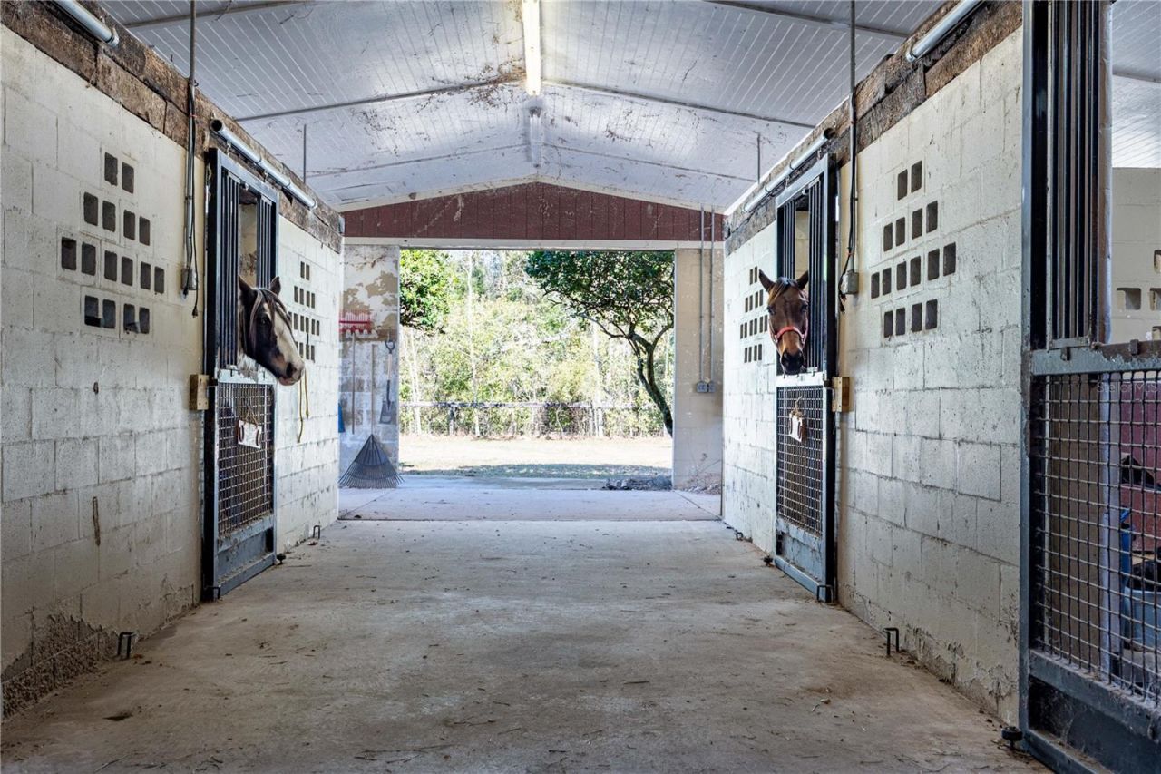 10720 NW 53rd Terrace, Gainesville, FL 32653 Photo