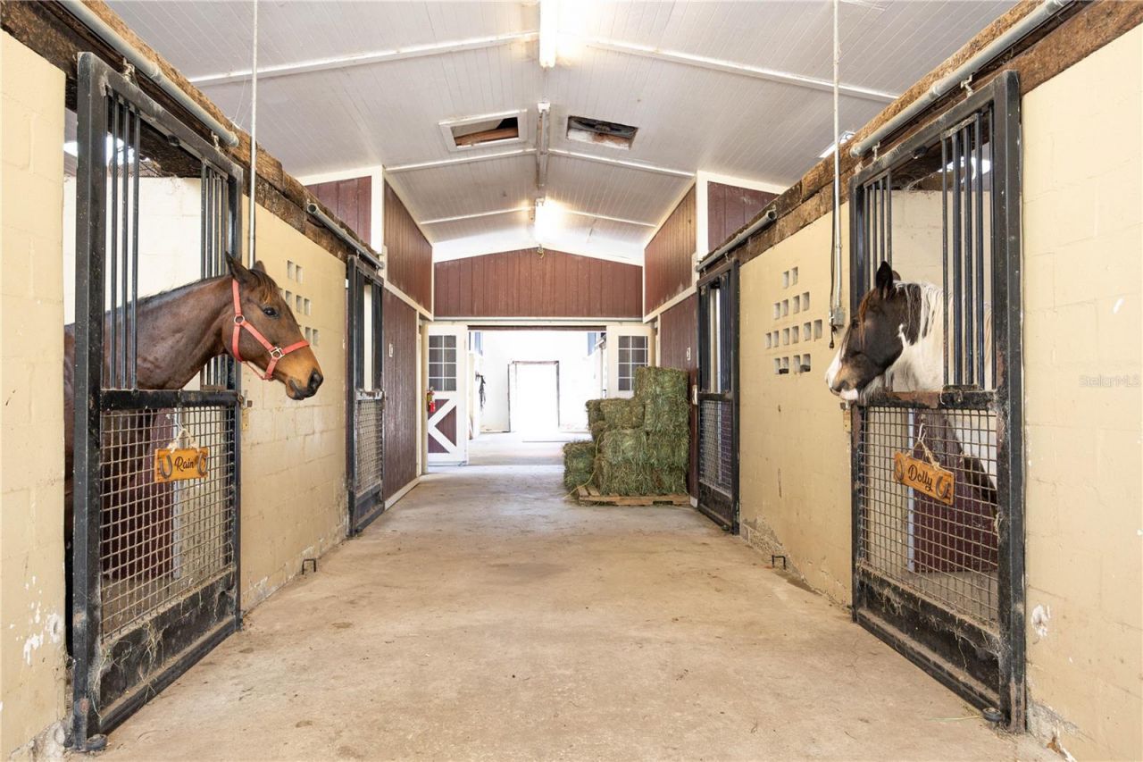 10720 NW 53rd Terrace, Gainesville, FL 32653 Photo