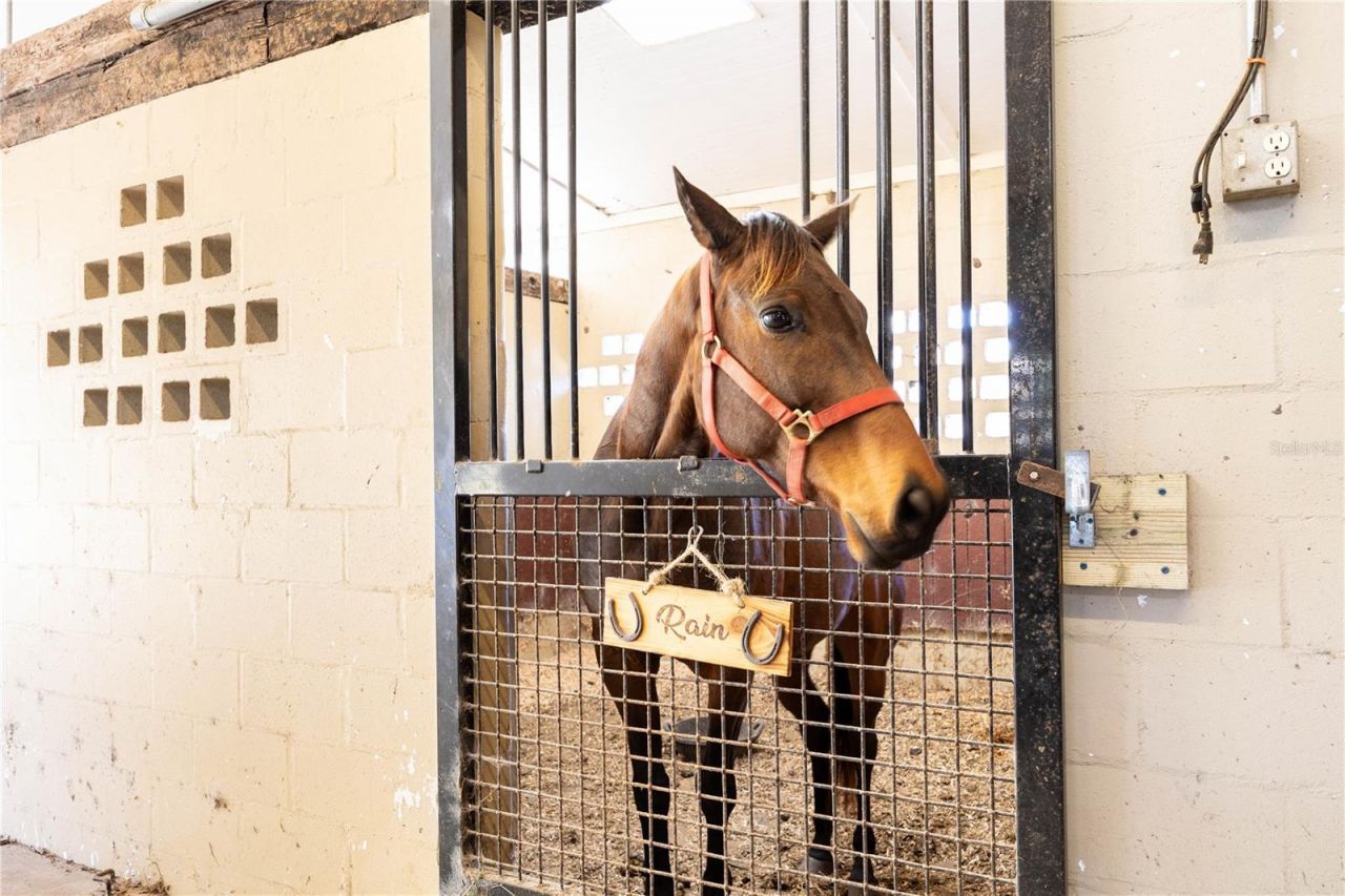 10720 NW 53rd Terrace, Gainesville, FL 32653 Photo