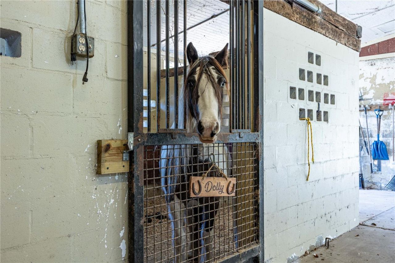 10720 NW 53rd Terrace, Gainesville, FL 32653 Photo