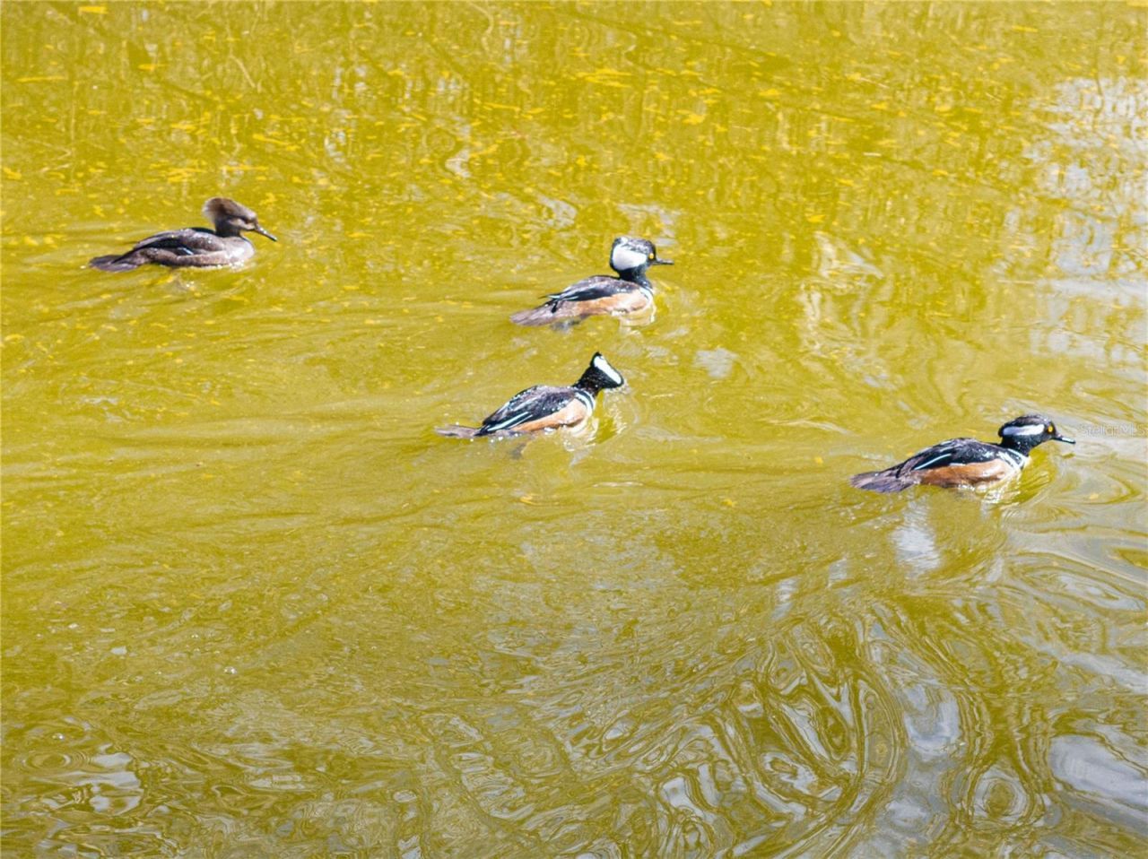 10720 NW 53rd Terrace, Gainesville, FL 32653 Photo