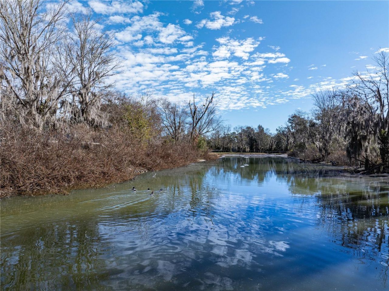 10720 NW 53rd Terrace, Gainesville, FL 32653 Photo