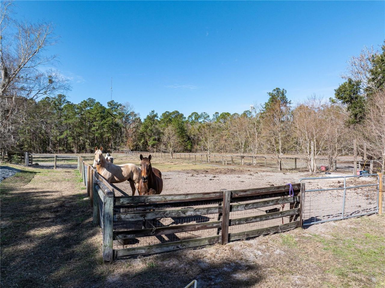 10720 NW 53rd Terrace, Gainesville, FL 32653 Photo