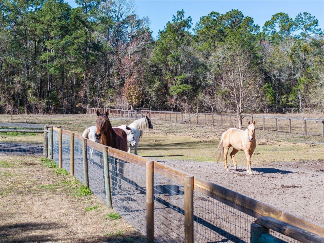 10720 NW 53rd Terrace, Gainesville, FL 32653 Photo