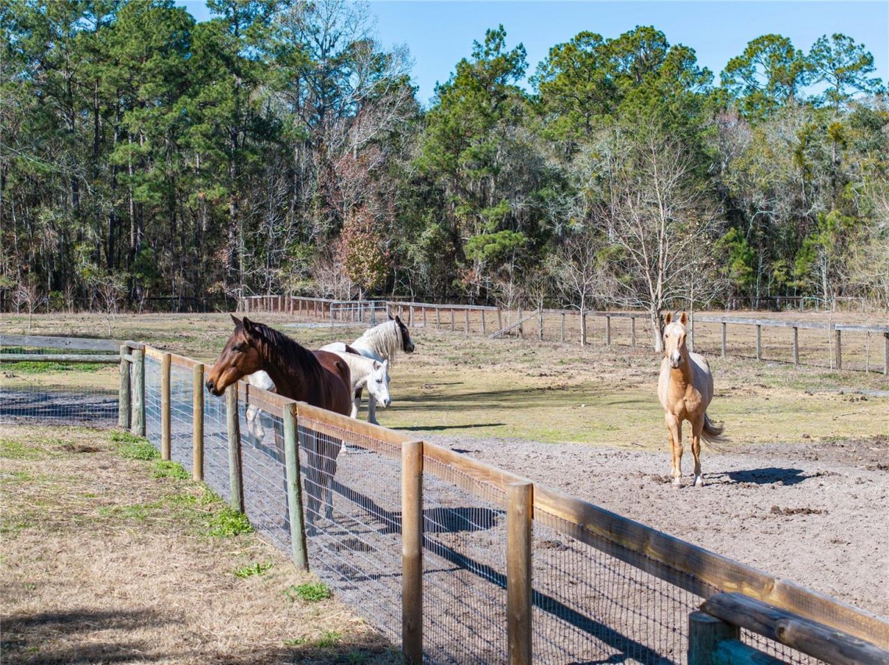 10720 NW 53rd Terrace, Gainesville, FL 32653 Photo