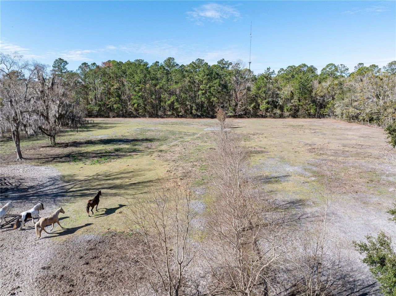 10720 NW 53rd Terrace, Gainesville, FL 32653 Photo