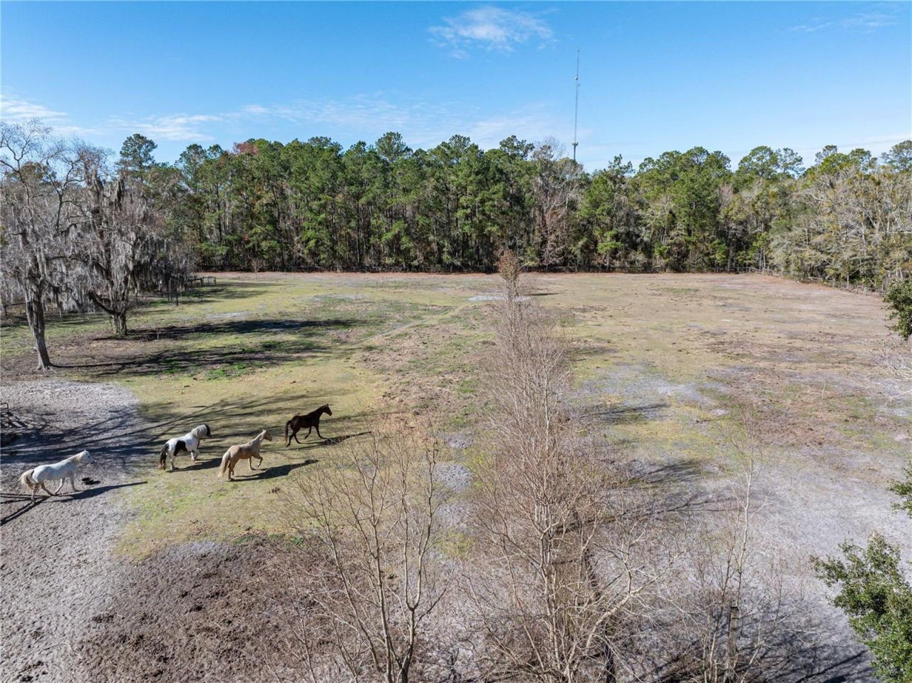 10720 NW 53rd Terrace, Gainesville, FL 32653 Photo