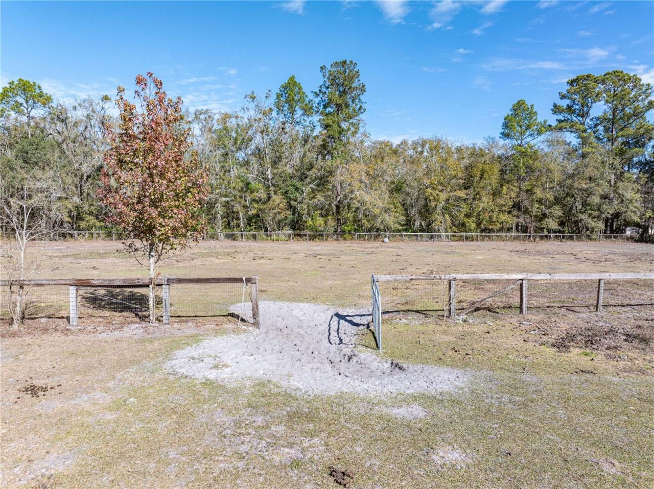 10720 NW 53rd Terrace, Gainesville, FL 32653 Photo