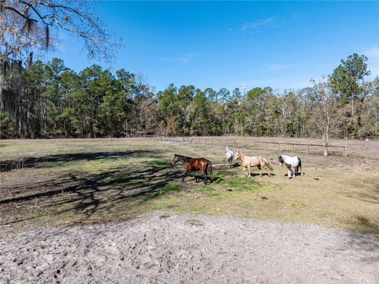 10720 NW 53rd Terrace, Gainesville, FL 32653 Photo