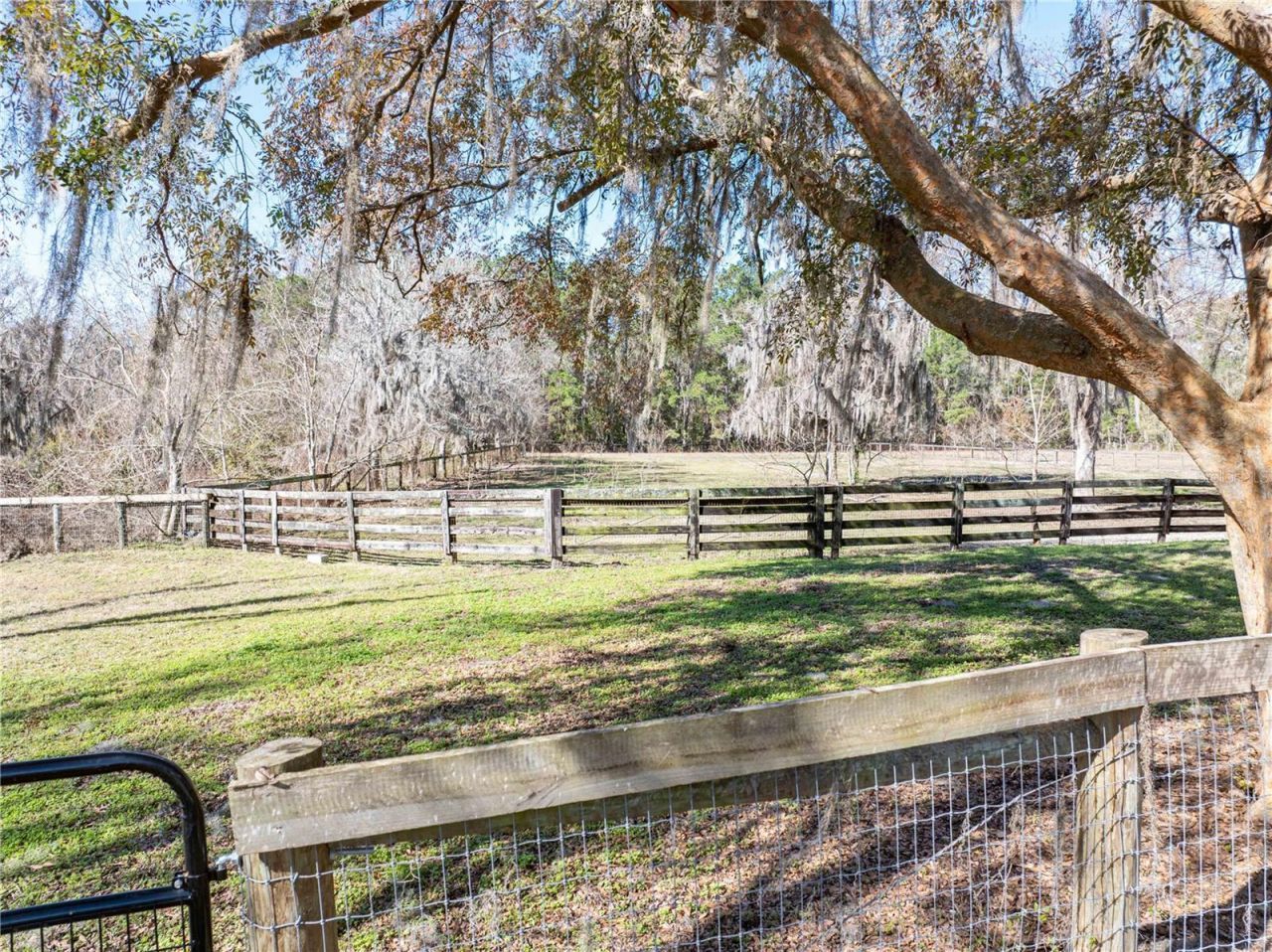 10720 NW 53rd Terrace, Gainesville, FL 32653 Photo