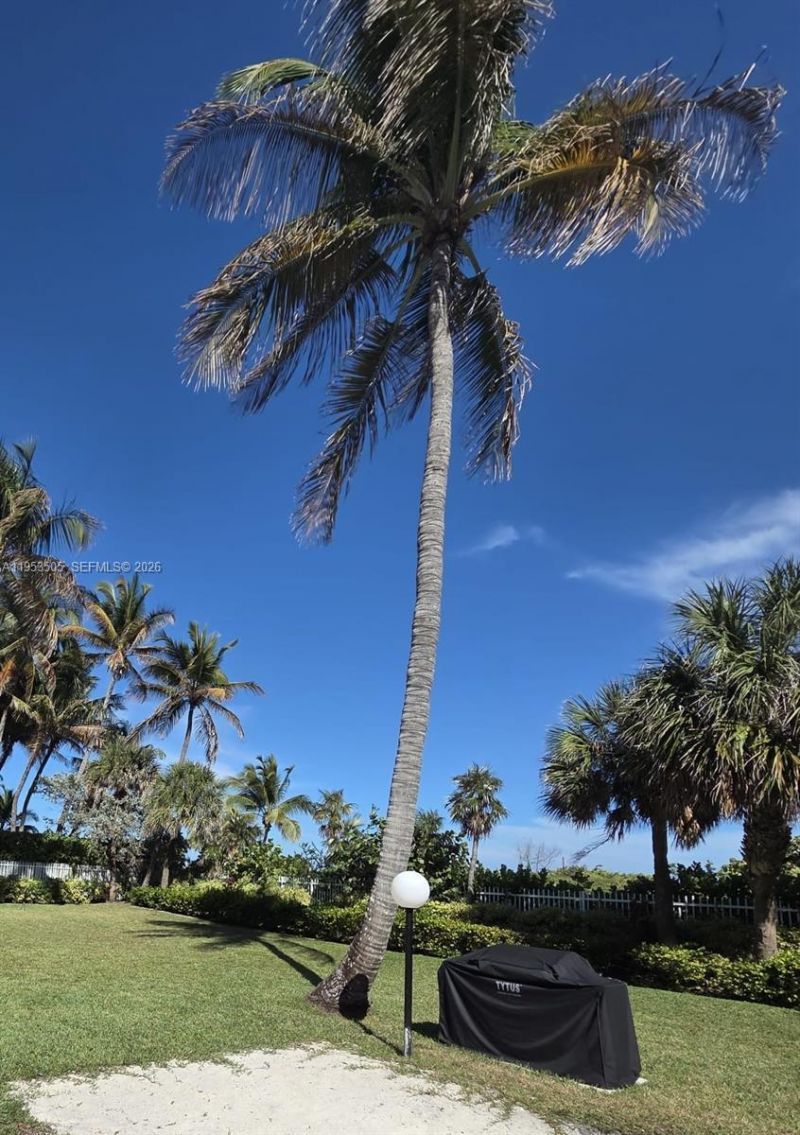 2401 Collins Ave, Unit 609, Miami Beach, FL 33140 Photo