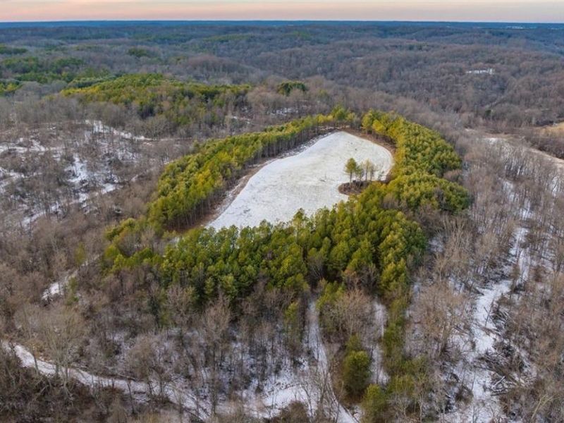 Perl Road, Chandlersville, OH 43727 Photo 1