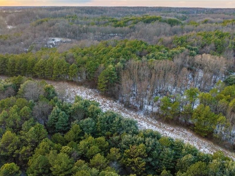 Perl Road, Chandlersville, OH 43727 Photo 10