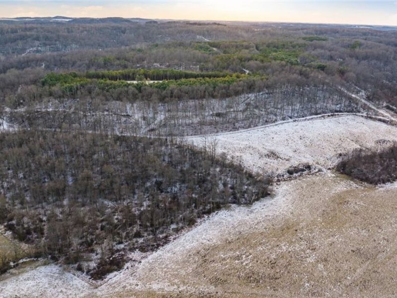 Perl Road, Chandlersville, OH 43727 Photo 11