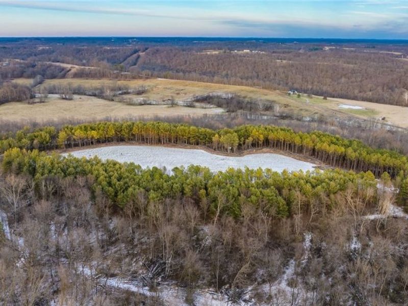 Perl Road, Chandlersville, OH 43727 Photo 13