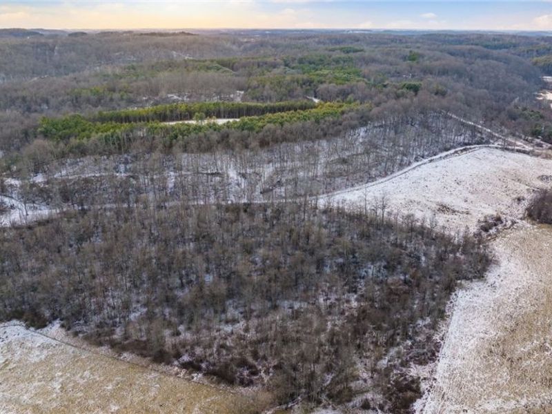 Perl Road, Chandlersville, OH 43727 Photo 14