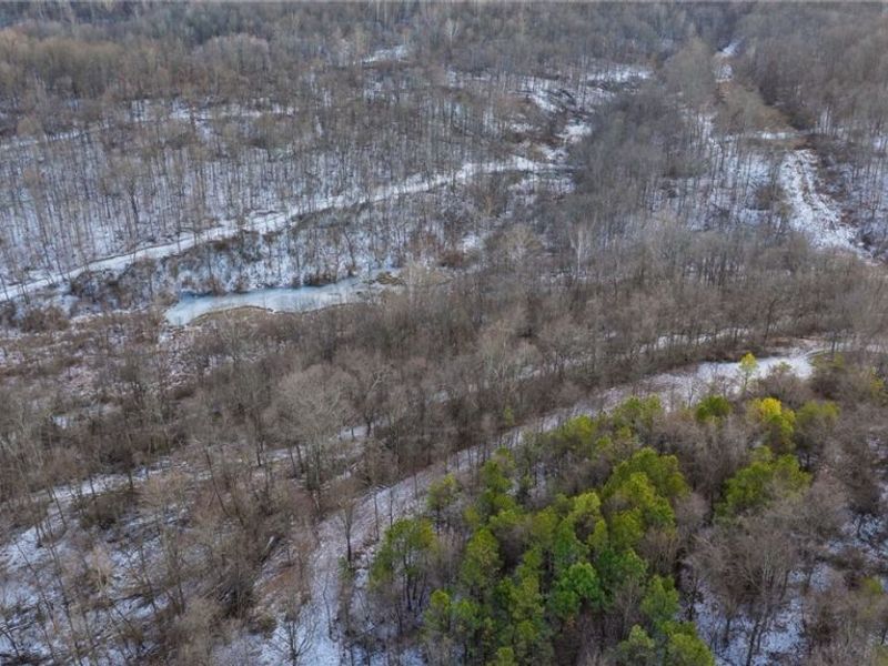 Perl Road, Chandlersville, OH 43727 Photo 15