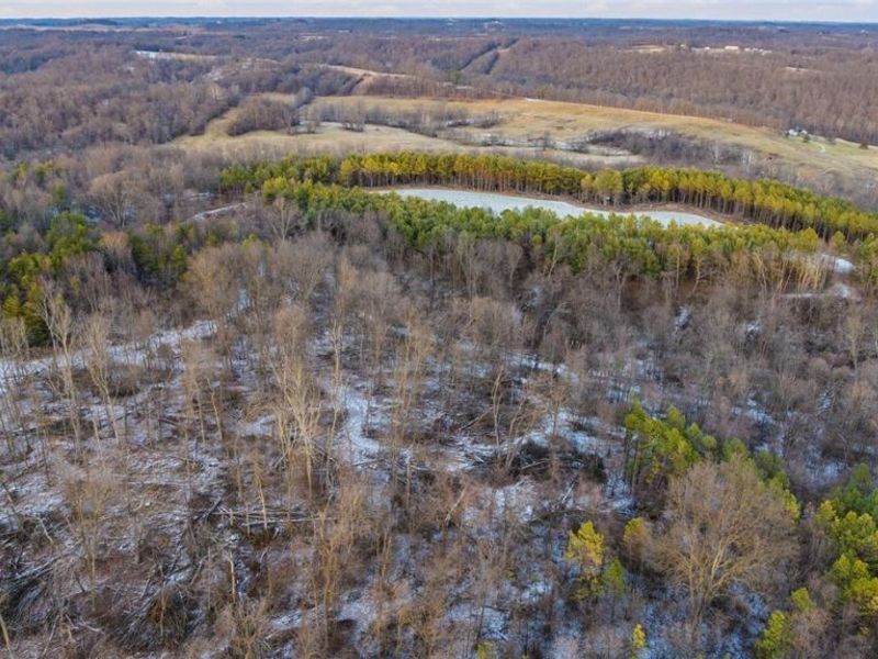 Perl Road, Chandlersville, OH 43727 Photo 16