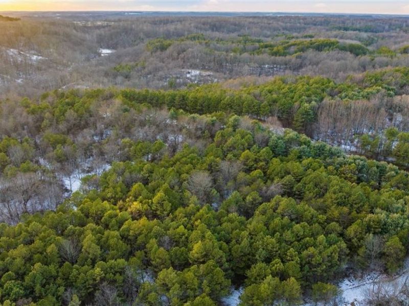 Perl Road, Chandlersville, OH 43727 Photo 17