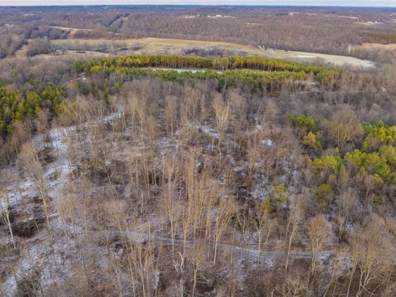 Perl Road, Chandlersville, OH 43727 Photo 18