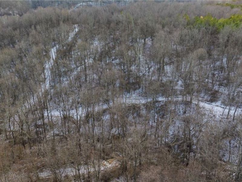 Perl Road, Chandlersville, OH 43727 Photo 19