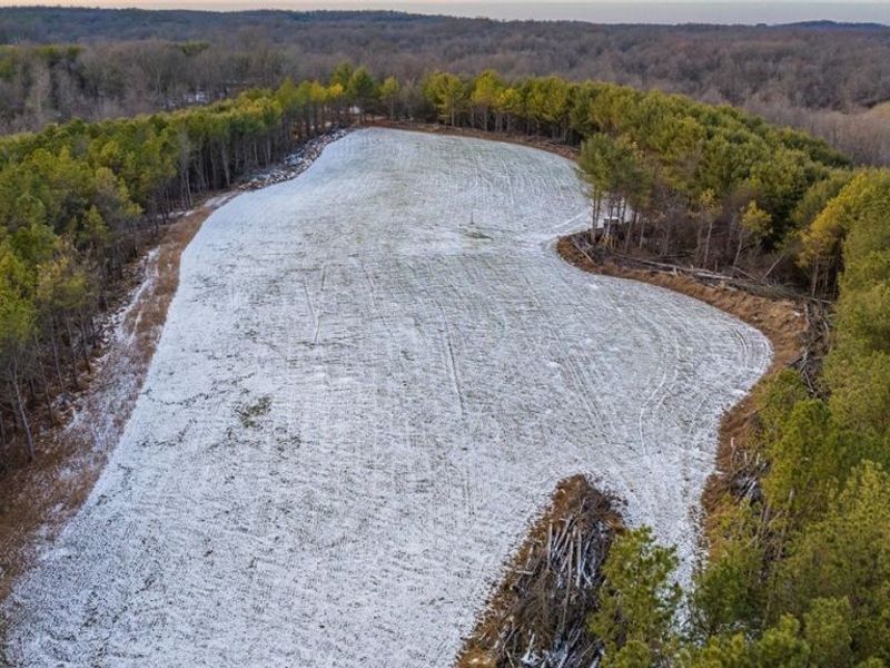 Perl Road, Chandlersville, OH 43727 Photo 2