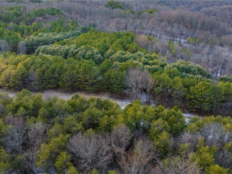 Perl Road, Chandlersville, OH 43727 Photo 20