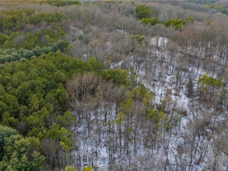 Perl Road, Chandlersville, OH 43727 Photo 21