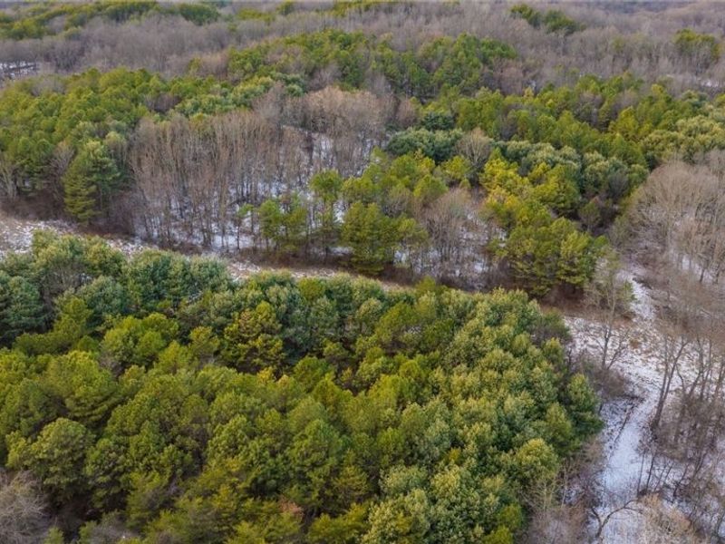 Perl Road, Chandlersville, OH 43727 Photo 22