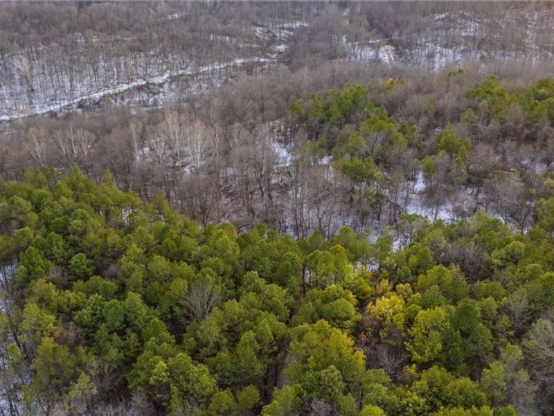 Perl Road, Chandlersville, OH 43727 Photo 23