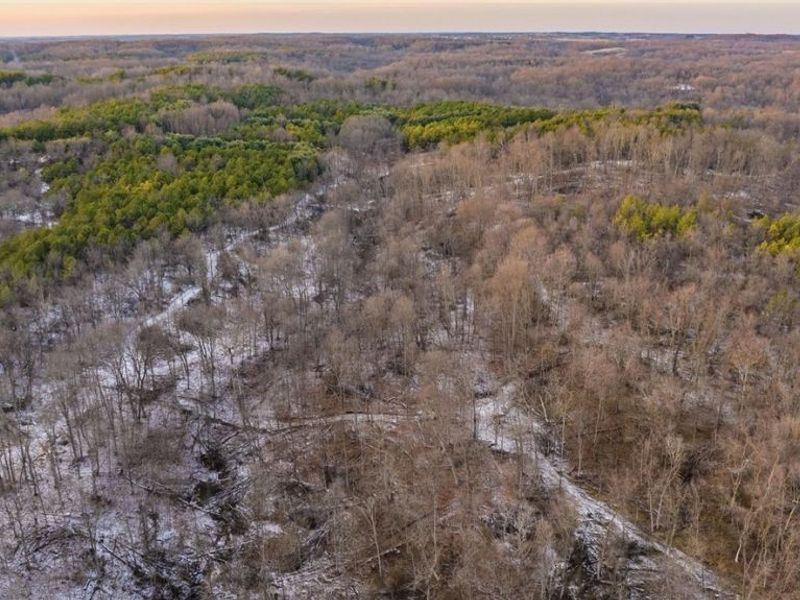 Perl Road, Chandlersville, OH 43727 Photo 25