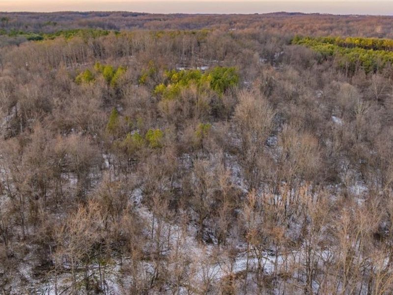 Perl Road, Chandlersville, OH 43727 Photo 26