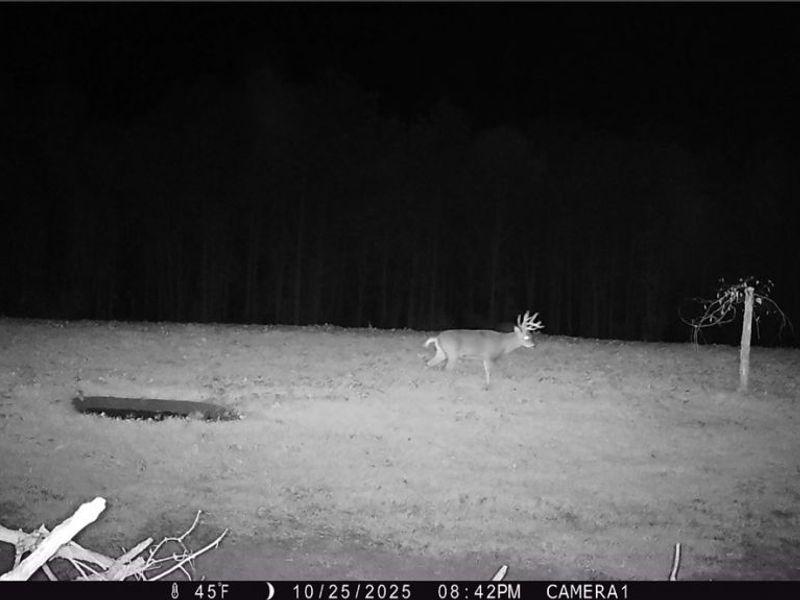 Perl Road, Chandlersville, OH 43727 Photo 27