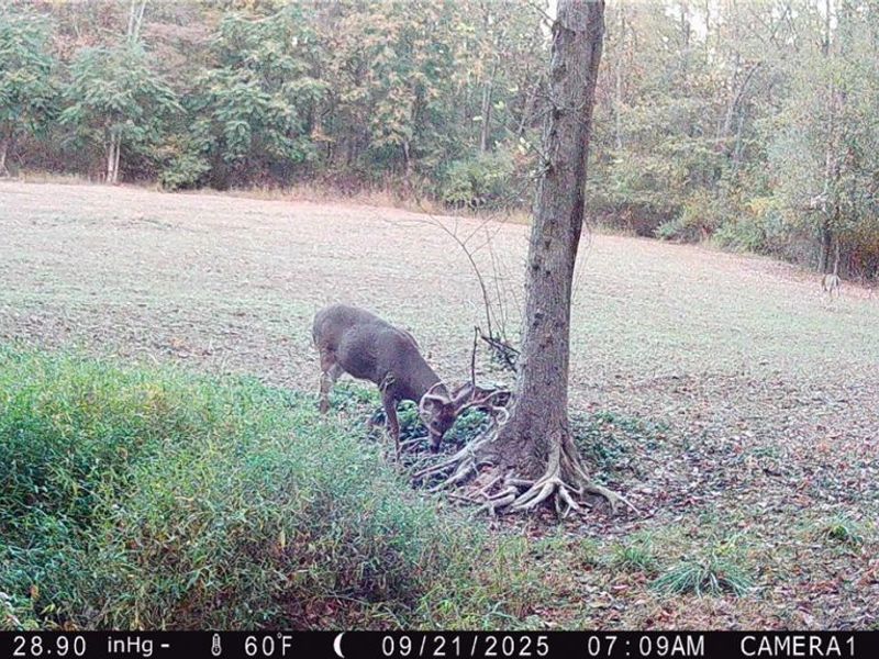 Perl Road, Chandlersville, OH 43727 Photo 31