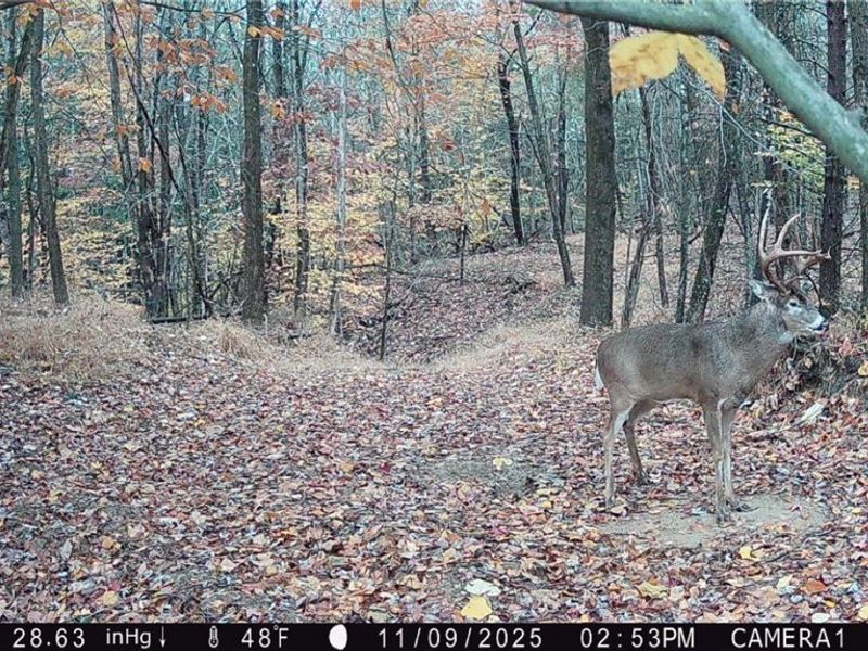 Perl Road, Chandlersville, OH 43727 Photo 32