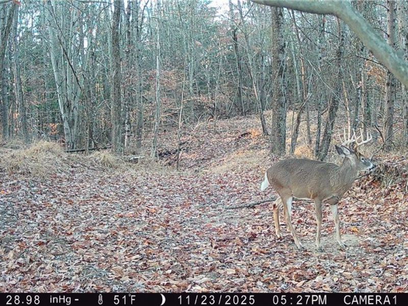 Perl Road, Chandlersville, OH 43727 Photo 33