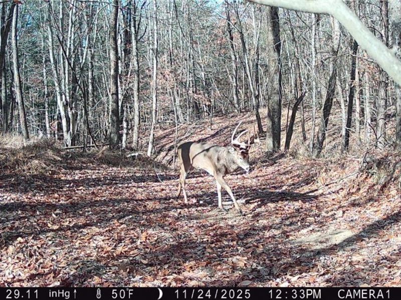 Perl Road, Chandlersville, OH 43727 Photo 34