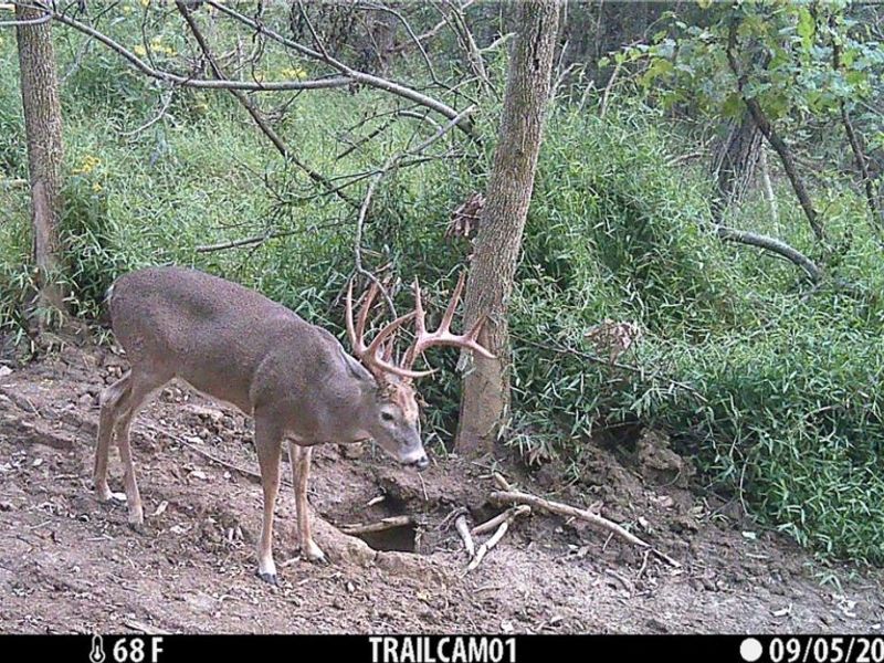 Perl Road, Chandlersville, OH 43727 Photo 35