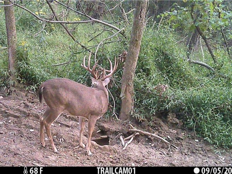 Perl Road, Chandlersville, OH 43727 Photo 36