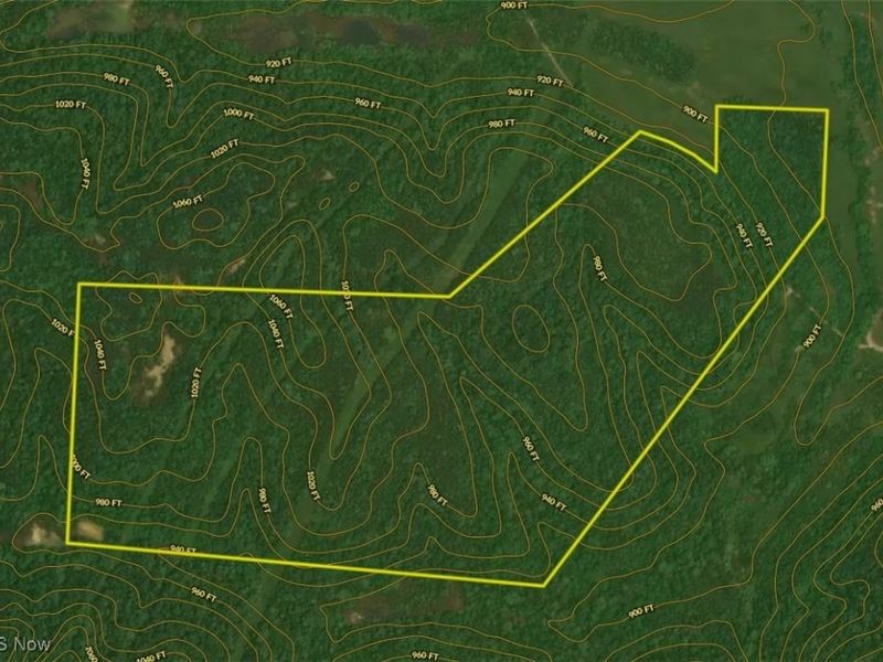 Perl Road, Chandlersville, OH 43727 Photo 38