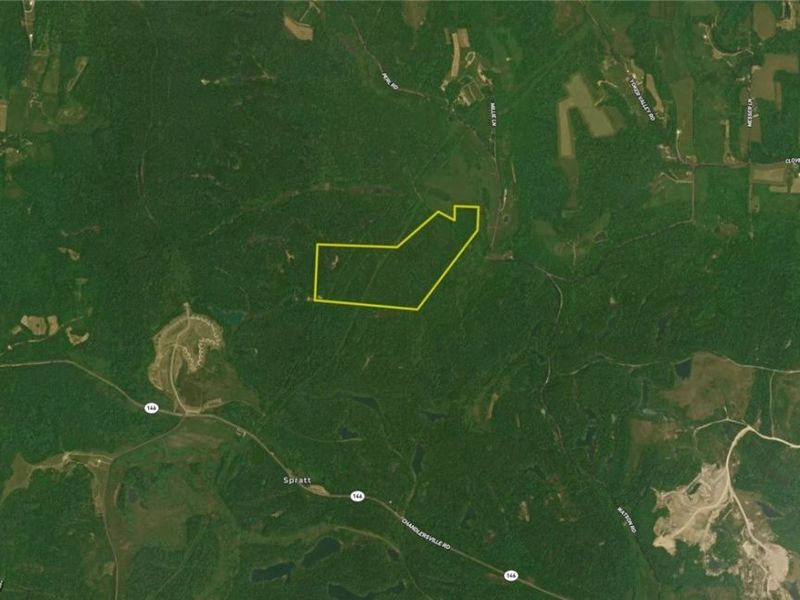 Perl Road, Chandlersville, OH 43727 Photo 39