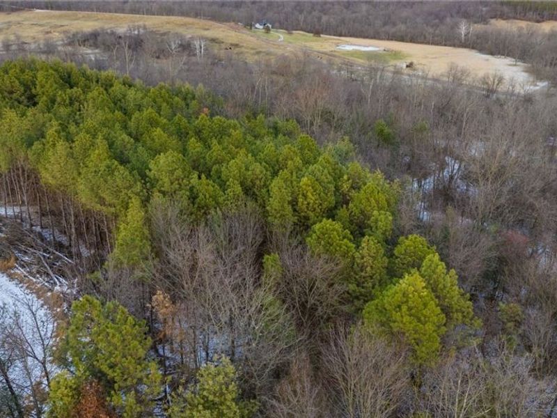 Perl Road, Chandlersville, OH 43727 Photo 4