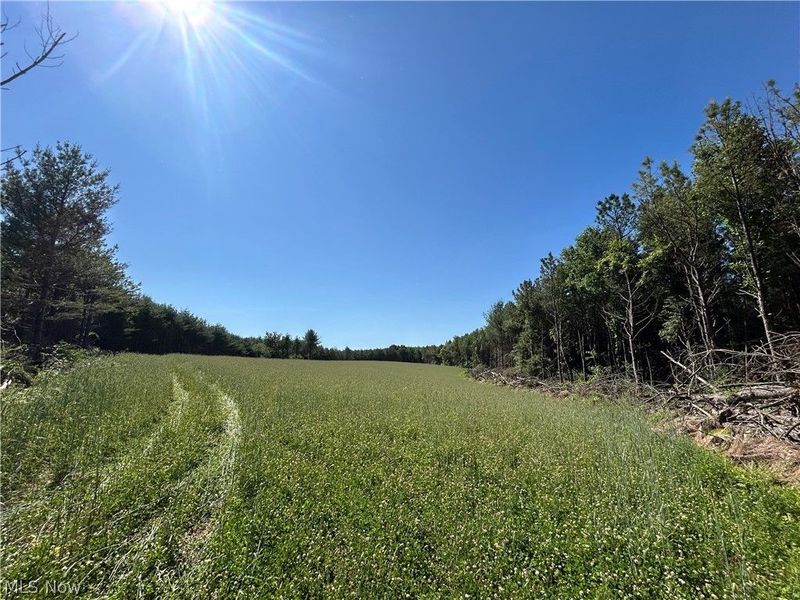 Perl Road, Chandlersville, OH 43727 Photo 42