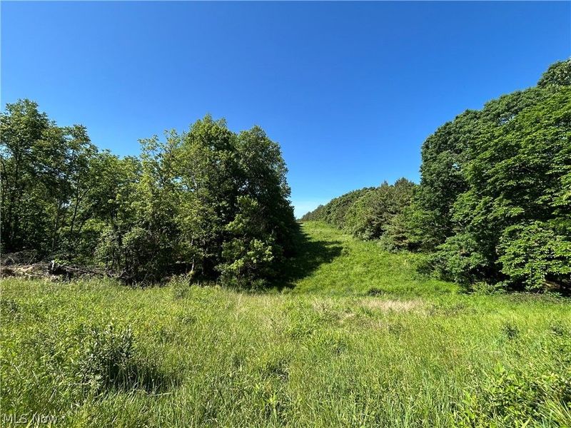 Perl Road, Chandlersville, OH 43727 Photo 47