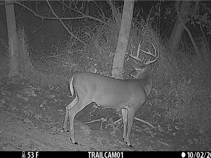 Perl Road, Chandlersville, OH 43727 Photo 6