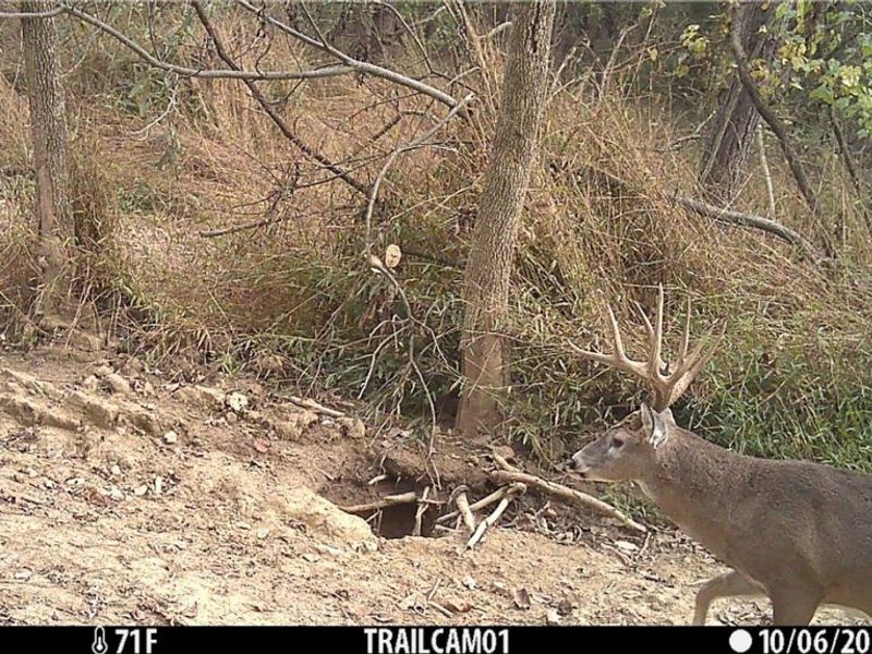 Perl Road, Chandlersville, OH 43727 Photo 7