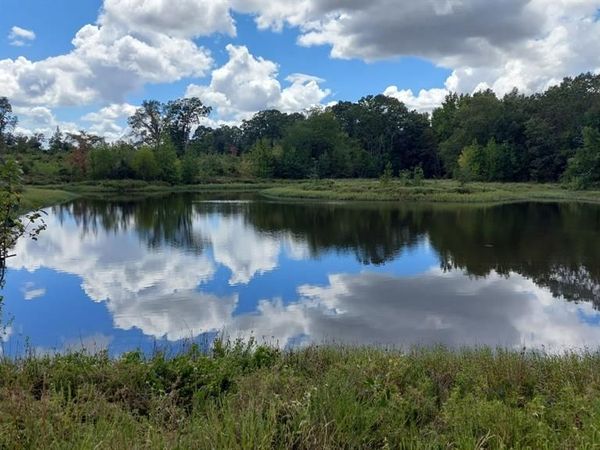 TBD FM-195, Bagwell, TX 75412