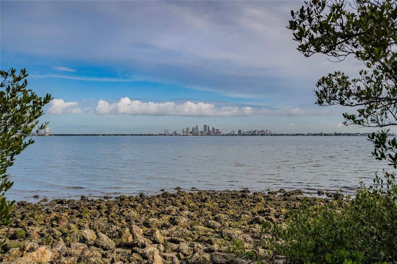 6213 Sanders Drive, Tampa, FL 33611 Photo