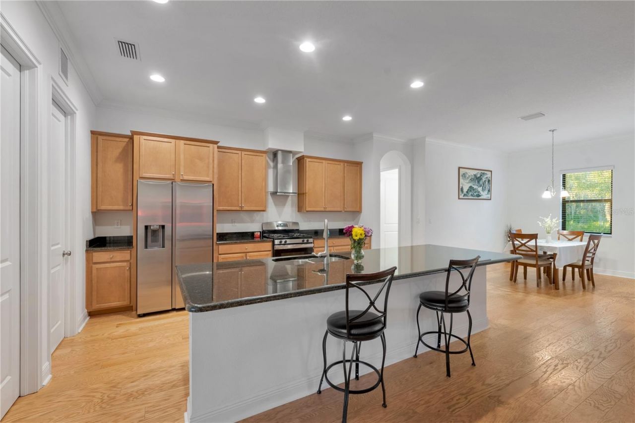 3908 Gaviota Drive, Sun City Center, FL 33573 Photo